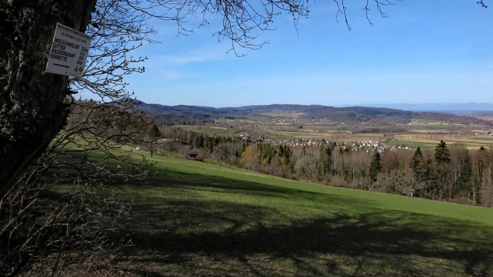 Cozy Apartment In Ruhmannsfelden With Swimming Pool Achslach 0*,